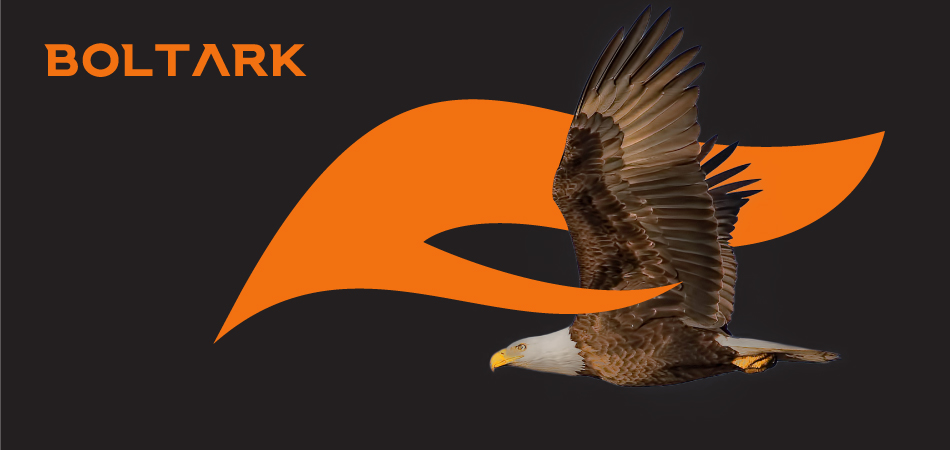 Boltark, Logo, concept